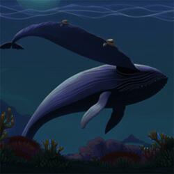 Soothing Whale Sounds for Sleeping