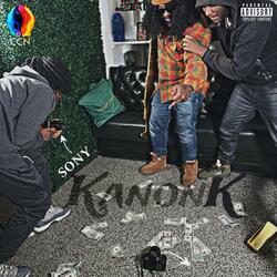 SONYLAND! (Kanonland Diss) (feat. Lil Raw & Dolla Fry)