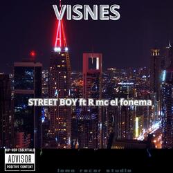 VISNES