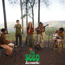 The Seed (Acoustic)