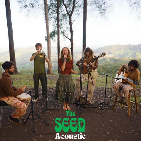 The Seed (Acoustic)