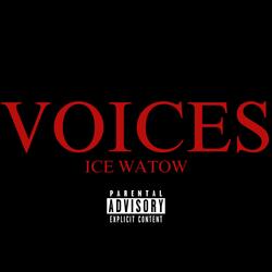 VOiCES