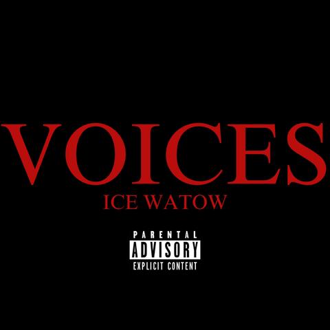 VOiCES