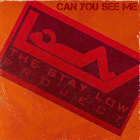 Can You See Me
