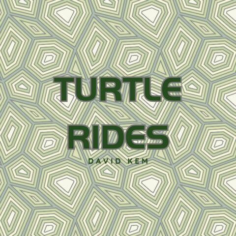 Turtle Rides