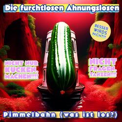 Pimmelbahn (Super dance experience Disco Version)