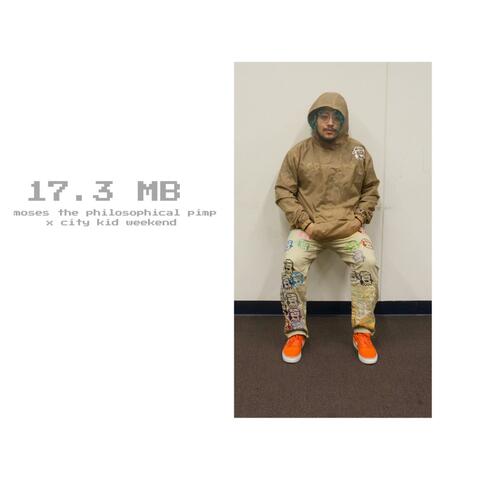 17.3 MB