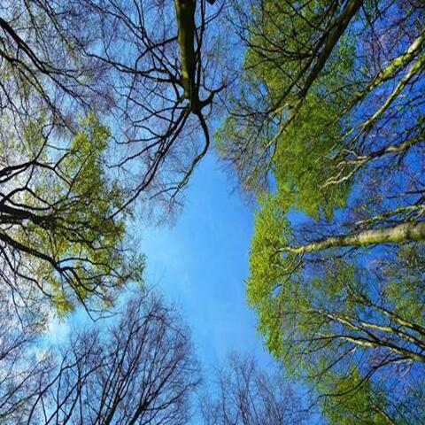 Welcome to spring