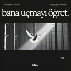 bana uçmayı öğret.
