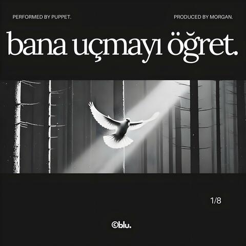 bana uçmayı öğret.