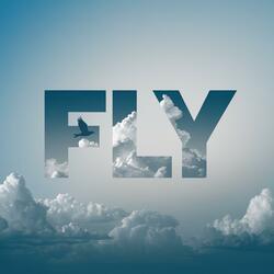 FLY