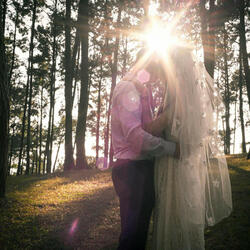 Can't Help Falling in Love