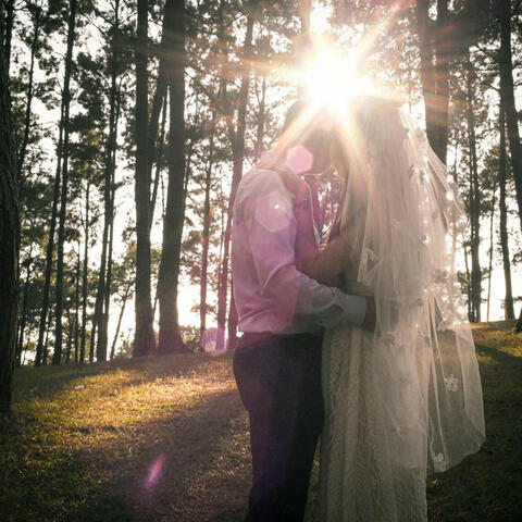 Can't Help Falling In Love