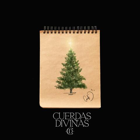 All I Want for Christmas Is You