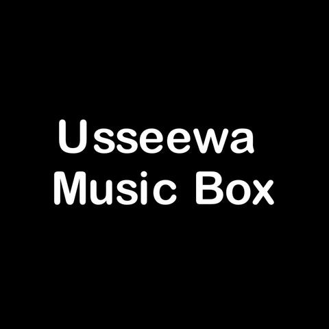 Usseewa Music Box