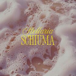 Schiuma