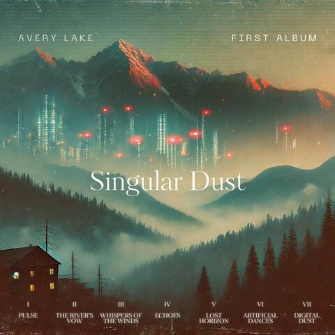 Singular Dust