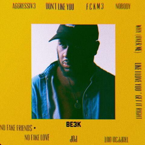 No Fake Friends* No Fake Love