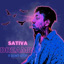 Sativa Dreamin (It Don't Stop)