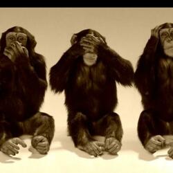 BLATT Pt. 2 (feat. 1luhk5ive & ynluhkari)