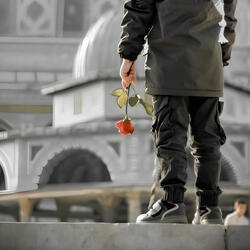 الأقصى ينزف