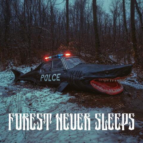 Forest Never Sleeps