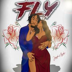 Fly