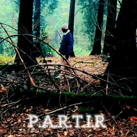 P.A.R.T.I.R
