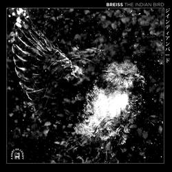 Misty Music (feat. LaNote) (Remix)