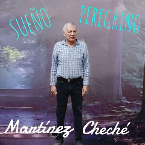 SUEÑO PEREGRINO