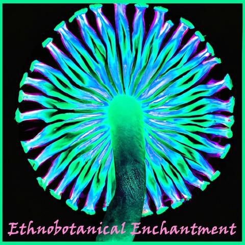 Ethnobotanical Enchantment
