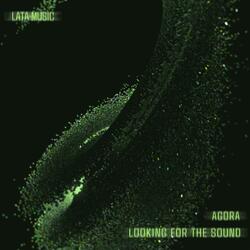 Looking For The Sound