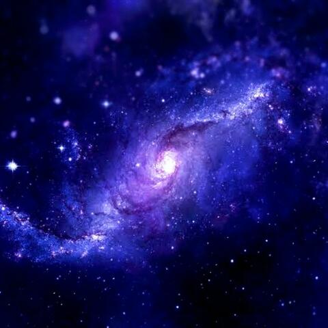 Pequena do cabelo preto