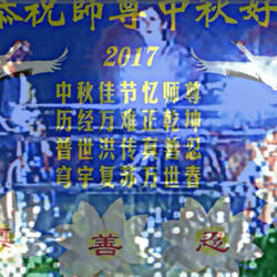 see you go #bluelotus