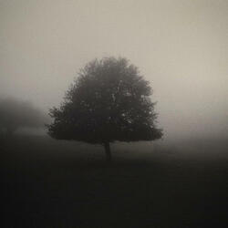 Solidão e Isolamento