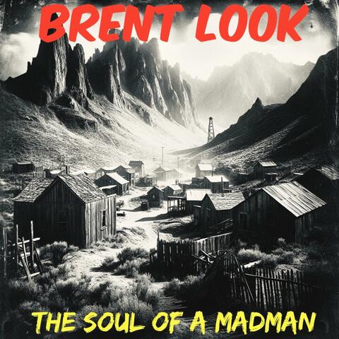 The Soul Of A Madman
