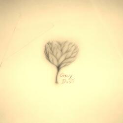 gray dust