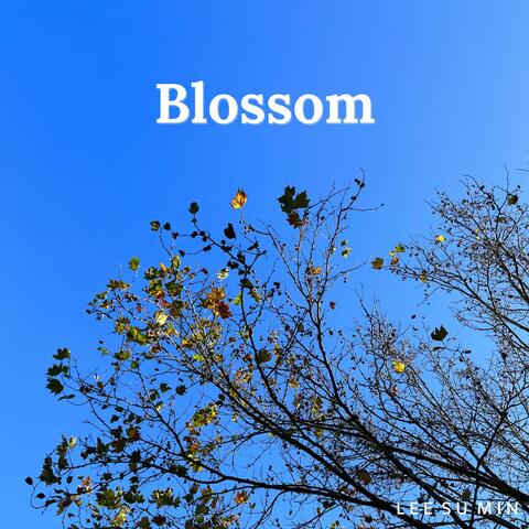 Blossom