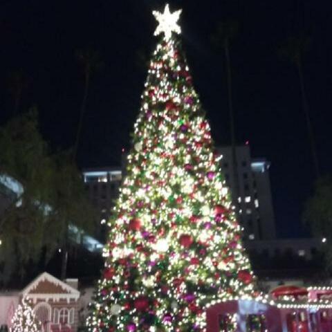 Twenty Twenty Holidays