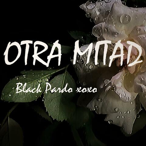 Mi otra mitad