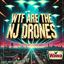 wtf are the nj drones
