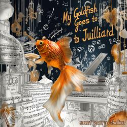 my goldfish goes to juilliard