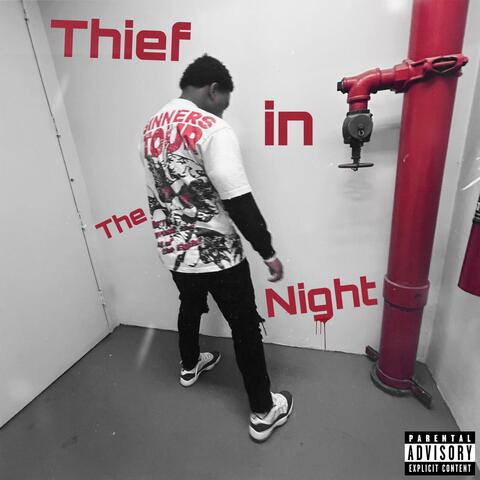 THIEF IN THE NIGHT