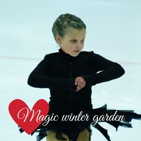 Aimees magic winter garden