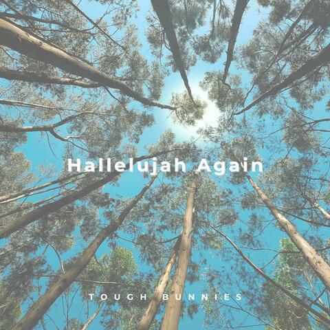 Hallelujah Again