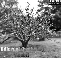 Different (feat. Cdubz)