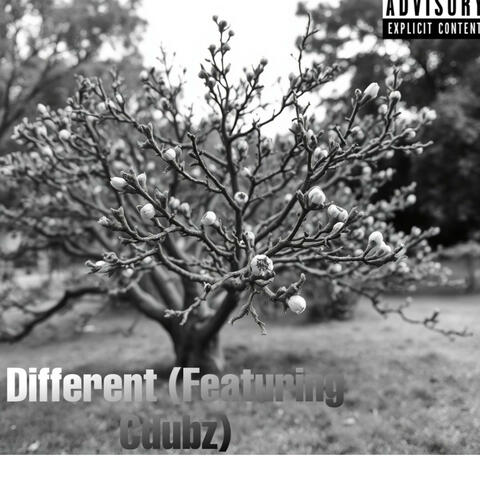Different (feat. Cdubz)
