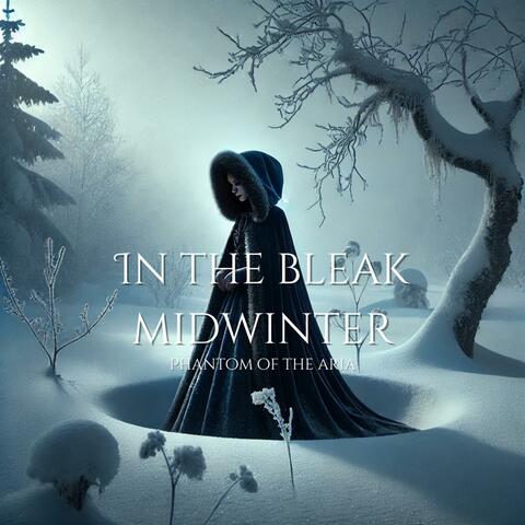 In the Bleak Midwinter
