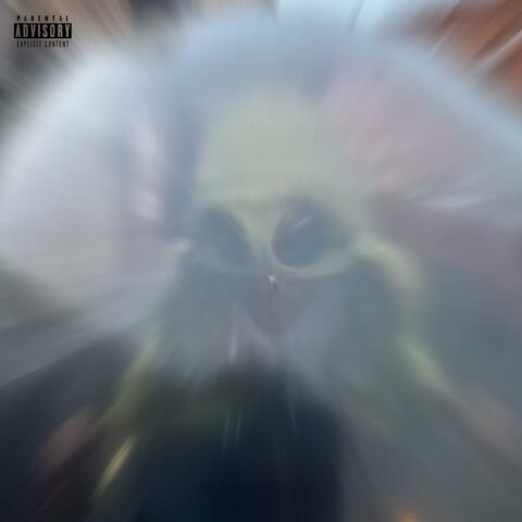 DIM FL0W
