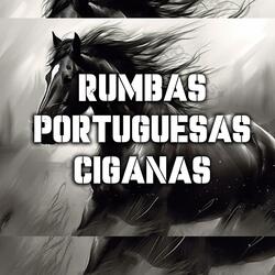 RUMBA PORTUGUESA 4 DOLFINHO GIPSY (PAI E FILHO MUSICA CIGANA)
